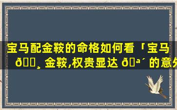 宝马配金鞍的命格如何看「宝马 🕸 金鞍,权贵显达 🪴 的意外惠泽之数」
